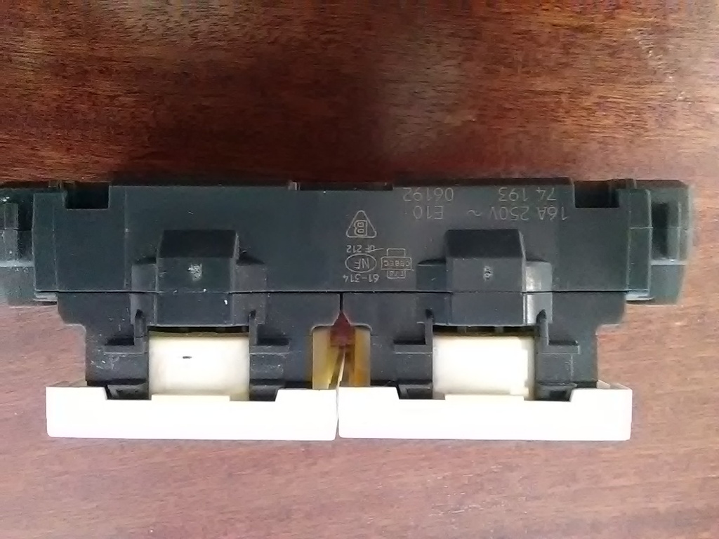 Prise de courant double 2P + T pour goulotte