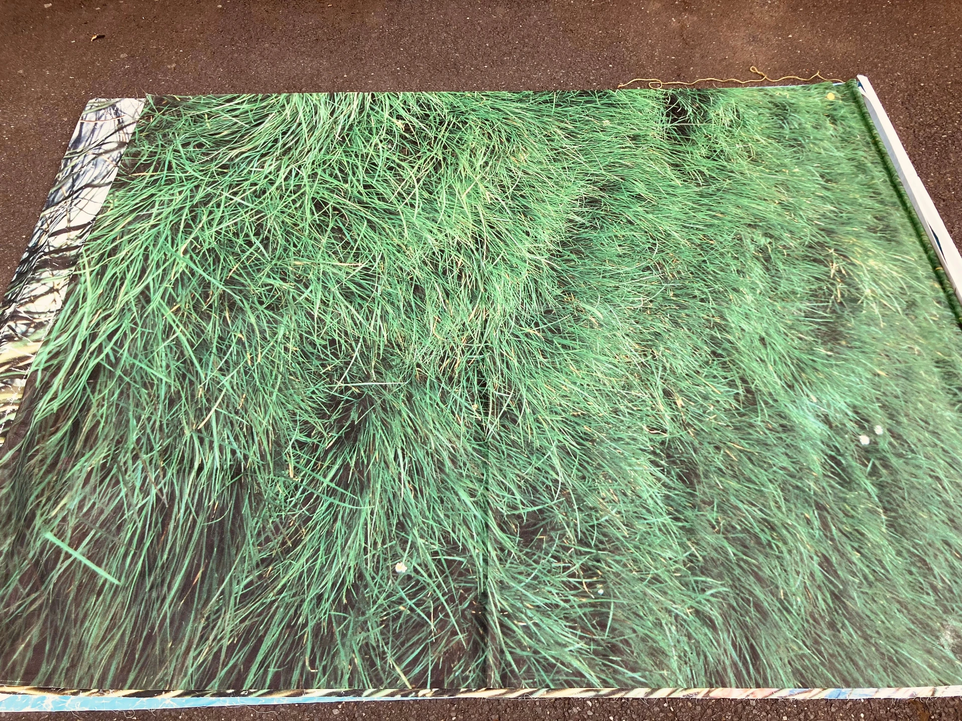 TOILE FOND VERT NATURE
